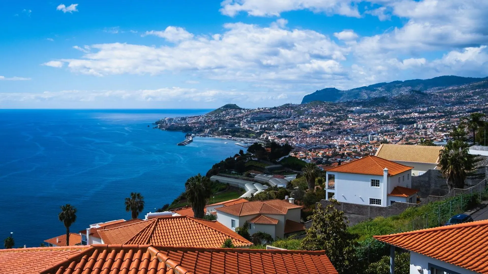 شقة Ourmadeira - Oceanbreeze, Seaview فونشال 0*,  البرتغال