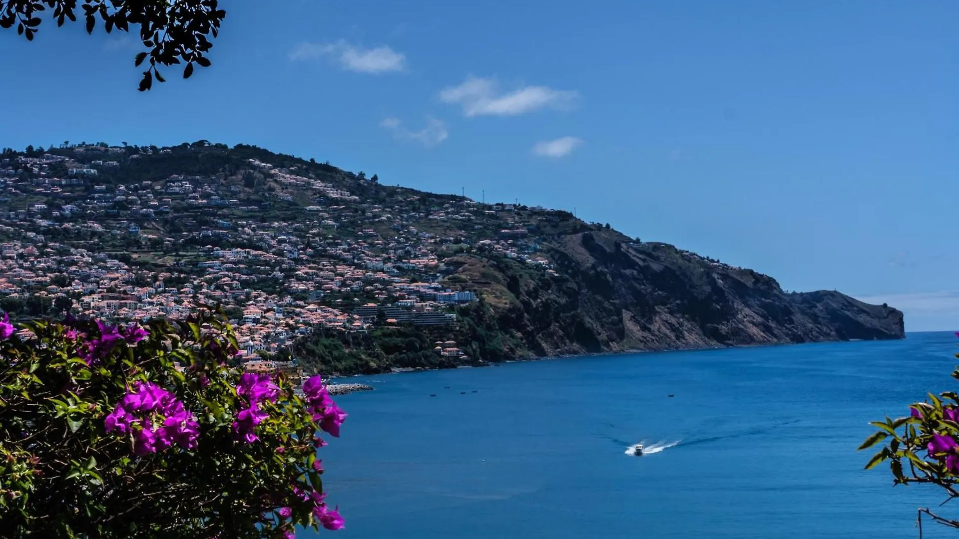 شقة Ourmadeira - Oceanbreeze, Seaview فونشال